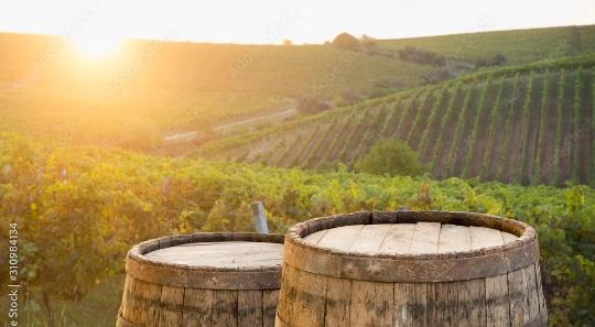 Wine barrels on vineyard