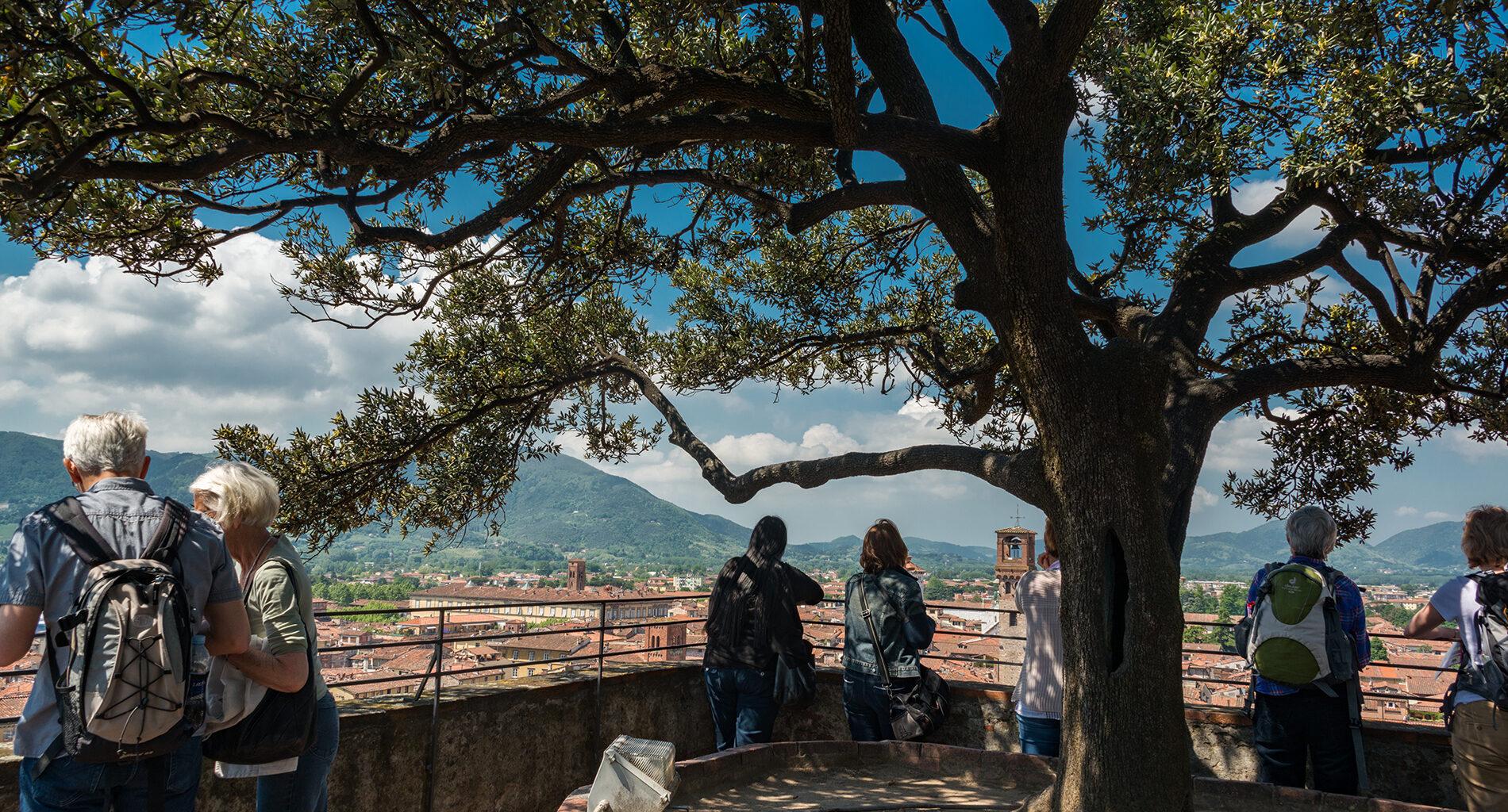 Lucca guided visit